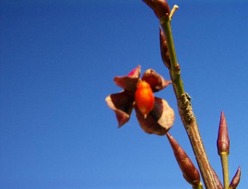 gallery_17549_4561_40895.jpg
