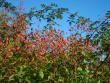tn_gallery_12789_1345_18839.jpg