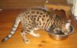 tn_gallery_34286_4546_56355.jpg