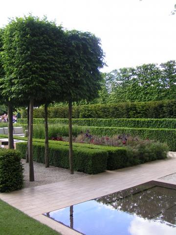 gallery_8727_4579_137184.jpg