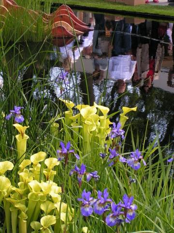 gallery_8727_4579_62497.jpg