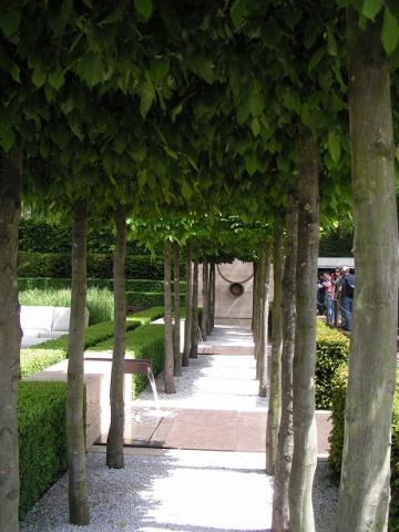 gallery_8727_4579_86324.jpg