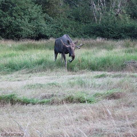 gallery_26356_4007_10666.jpg