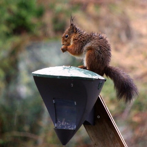 gallery_26356_4007_11417.jpg