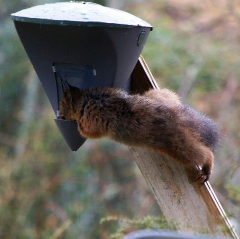 gallery_26356_4007_18238.jpg
