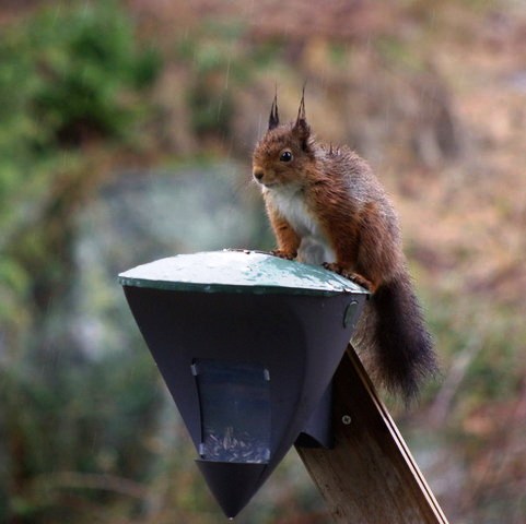 gallery_26356_4007_27706.jpg