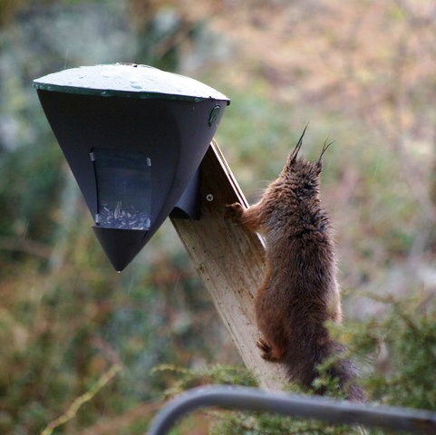 gallery_26356_4007_43041.jpg