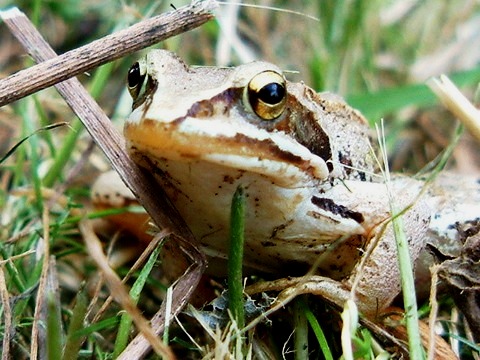 gallery_26356_4007_59114.jpg
