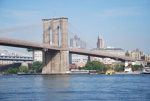 gallery_12962_4538_71625.jpg