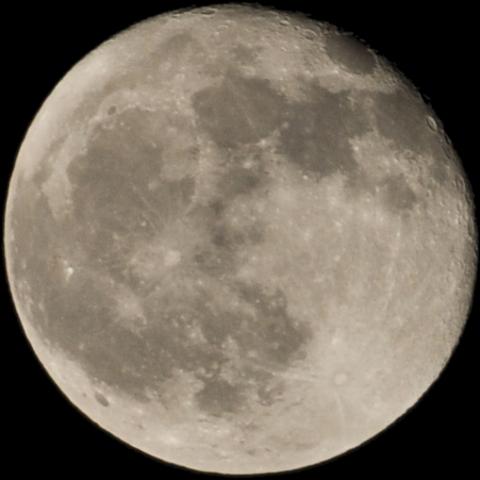 gallery_7606_4599_109656.jpg