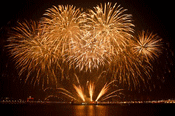 gallery_19305_3303_5815.gif