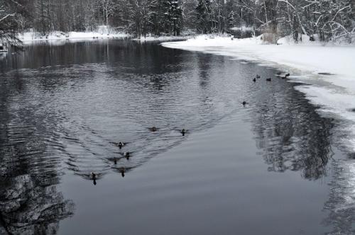 gallery_7606_1741_84083.jpg