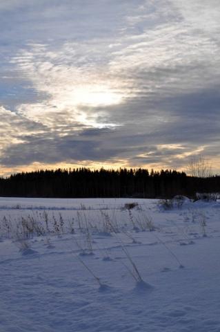 gallery_7606_3232_86457.jpg