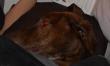 tn_gallery_5642_4568_45663.jpg