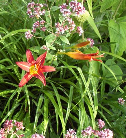 gallery_20295_3119_226012.jpg