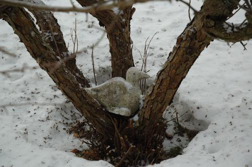 gallery_4207_3624_102242.jpg