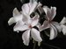 gallery_12843_2344_1328.jpg