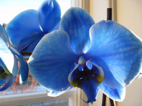 gallery_4322_4622_30514.jpg