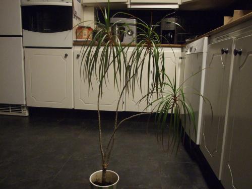 gallery_20369_3080_54107.jpg