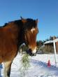 tn_gallery_2529_1143_13055.jpg