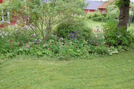 gallery_27160_4648_290405.jpg