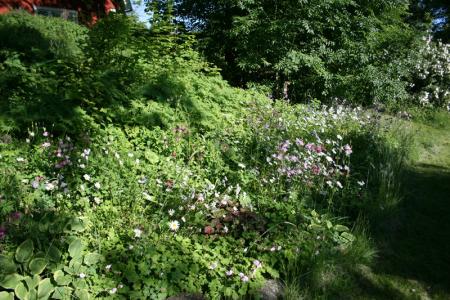 gallery_27160_4648_362434.jpg