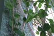 tn_gallery_41332_4668_72759.jpg