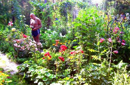 gallery_2548_4675_15030.jpg