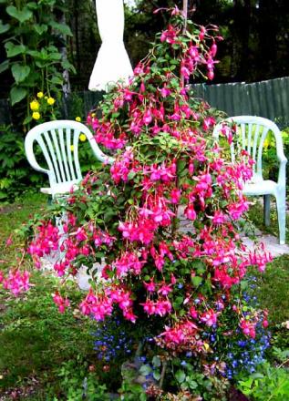 gallery_2548_4675_49258.jpg