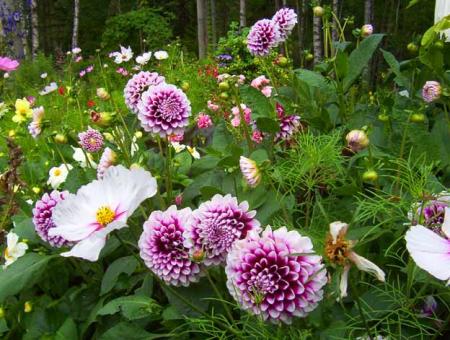 gallery_2548_4675_5015.jpg