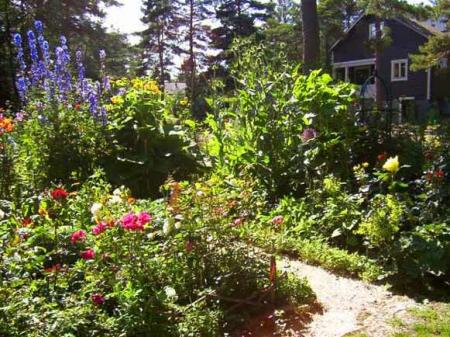 gallery_2548_4675_71800.jpg