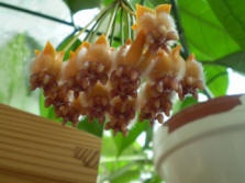 gallery_15695_2328_5921.jpg