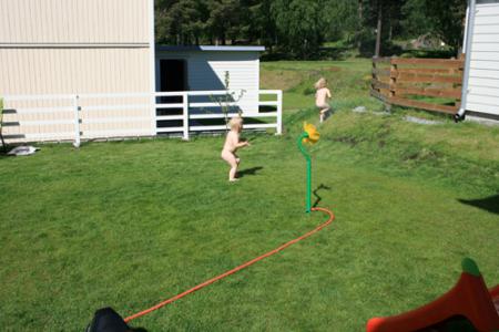gallery_22155_4706_10482.jpg