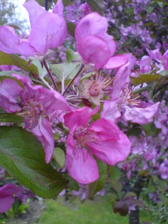 gallery_15106_4725_49975.jpg