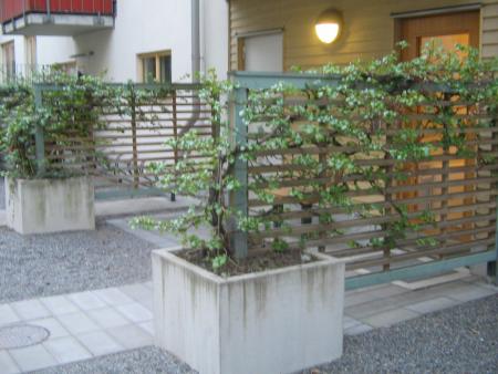 gallery_5153_4721_12524.jpg