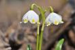 tn_gallery_23951_4724_267.jpg