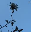 tn_gallery_5153_4721_208362.jpg