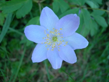 gallery_16329_4710_56059.jpg