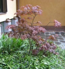 gallery_34286_4544_12003.jpg