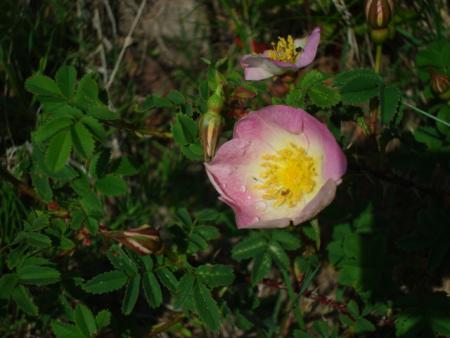 gallery_12789_4771_8456.jpg
