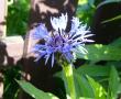 tn_gallery_10019_4772_176502.jpg