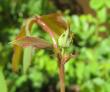 tn_gallery_34286_4544_71184.jpg