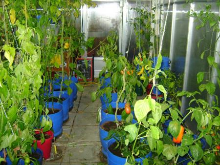 gallery_15963_4776_171911.jpg