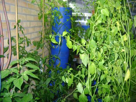 gallery_15963_4776_58857.jpg