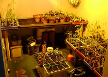 gallery_15963_4776_86946.jpg