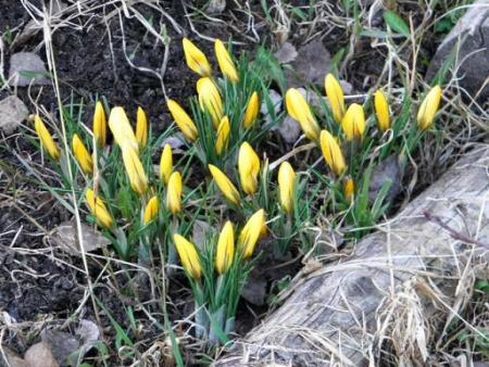 gallery_23204_4778_145160.jpg