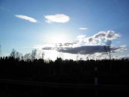 gallery_23204_4778_41790.jpg