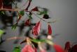 tn_gallery_48222_4777_75192.jpg