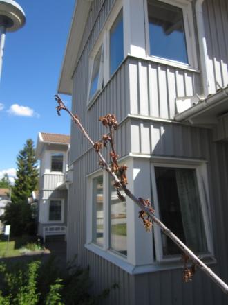 gallery_46303_4781_26397.jpg