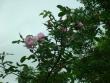 tn_gallery_12789_4771_47828.jpg